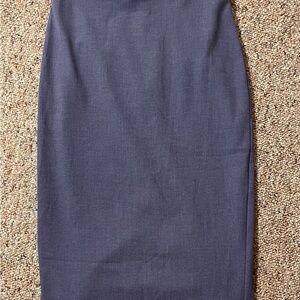 Women’s Express Editor Pencil Skirt